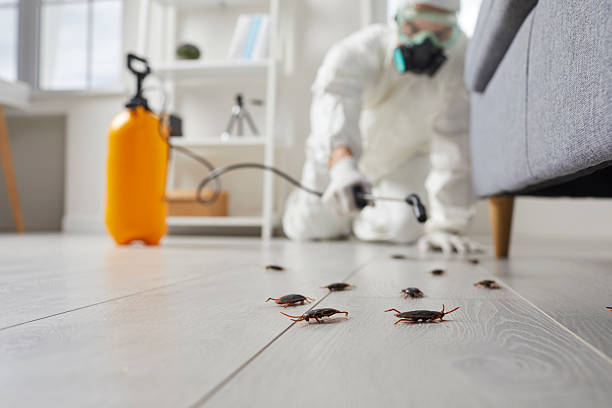 Commercial Kitchen Cockroach Control in Indian Springs Village